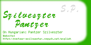 szilveszter pantzer business card